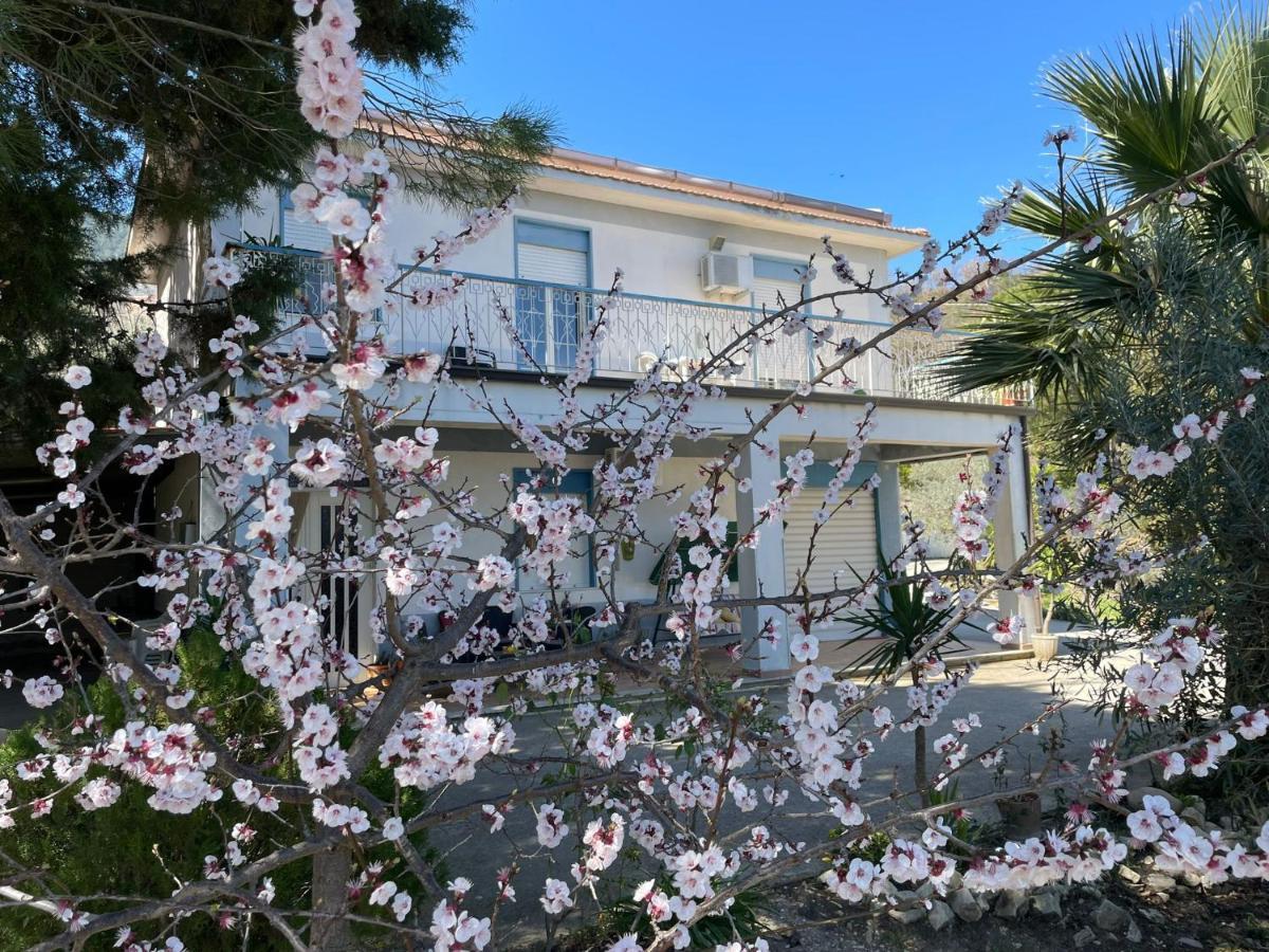 Valateddi Villa Cammarata Dış mekan fotoğraf