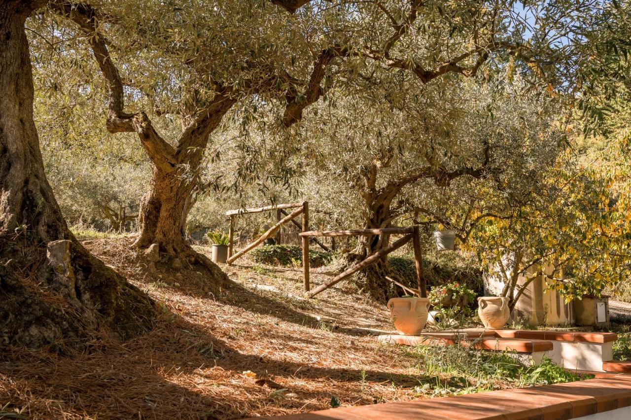 Valateddi Villa Cammarata Dış mekan fotoğraf