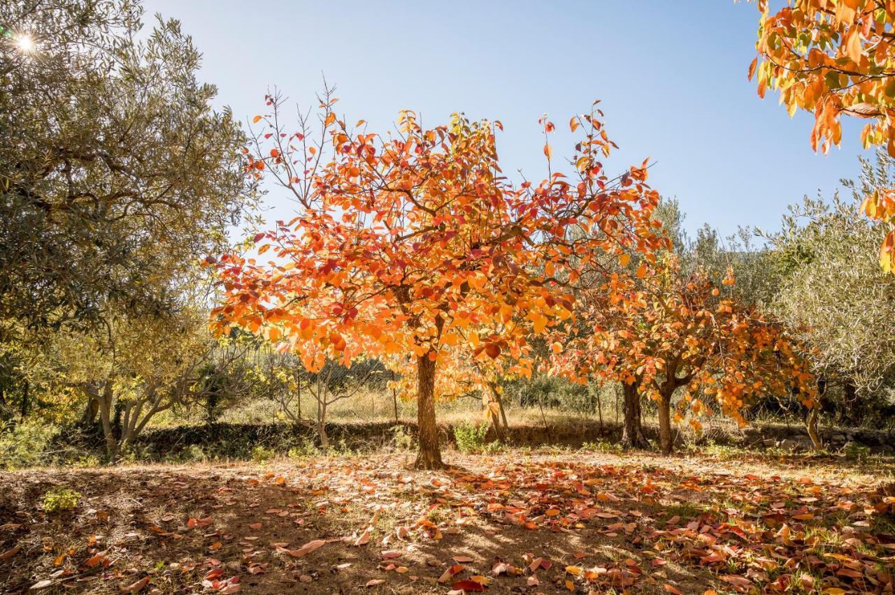 Valateddi Villa Cammarata Dış mekan fotoğraf